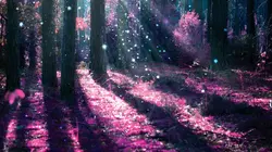 Un amour de sorcière