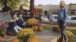 Un automne à Mountain View