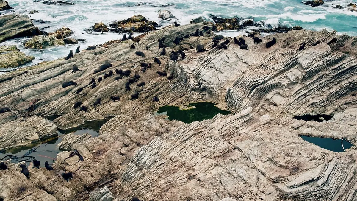 Un billet de train pour... Ile du Sud : du Pacifique aux Alpes du Sud