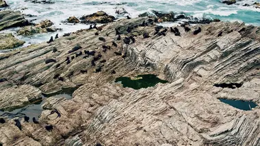 Ile du Sud : du Pacifique aux Alpes du Sud