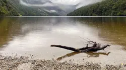 Un billet de train pour...