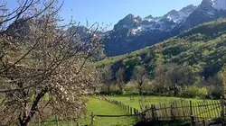 Visuel de Un billet pour le Balkan Express