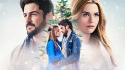 Un cadeau de Noël inattendu