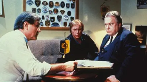 Un cas pour deux S07E08 Liaison dangereuse