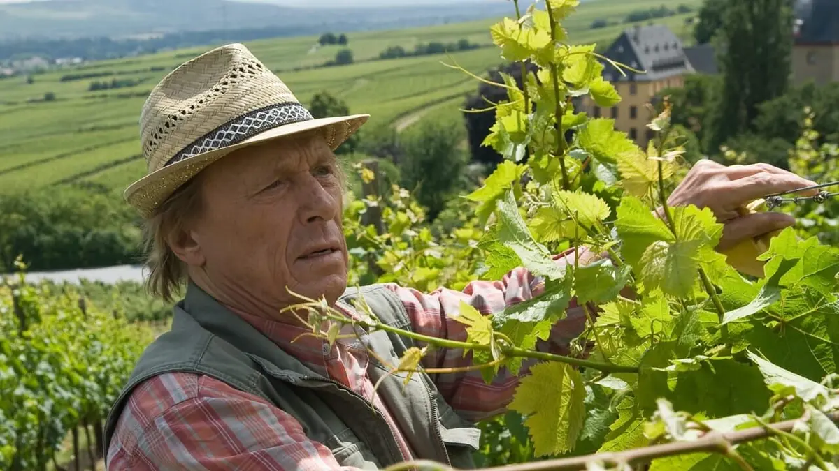 Un cas pour deux S29E02 Accident mortel au vignoble en streaming