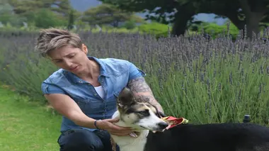 Un chien pour la vie