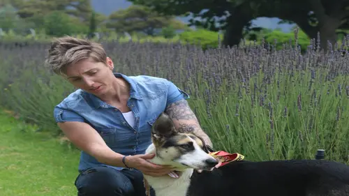 Un chien pour la vie