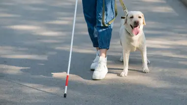 Un chien pour la vie