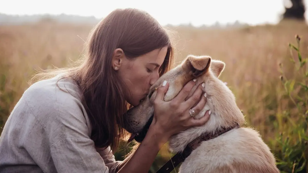 Un chien pour la vie