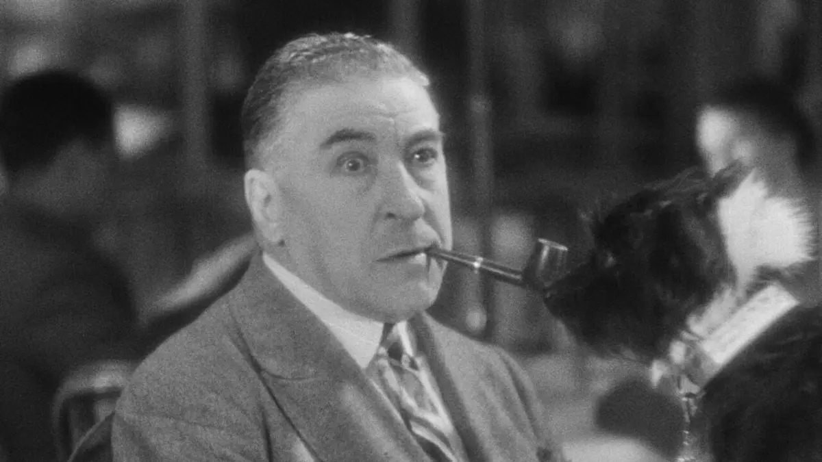 Un chien qui rapporte en streaming