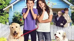 Visuel de Un chien très chanceux