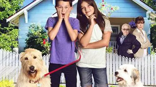 Un chien très chanceux en streaming