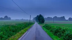 Un crime parfait ?  Affaire Demagny