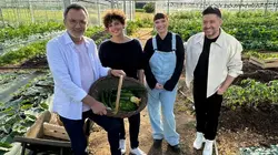 Un dimanche à la campagne