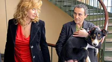 Un divorce de chien