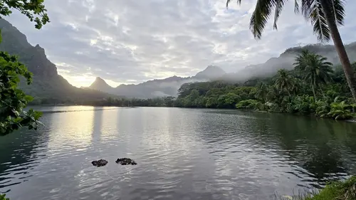 Un écrin de nature L'île de Moorea