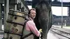 Hurst dans Un éléphant sur les bras (1996)