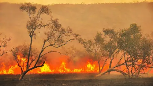 Un espoir pour la nature Australie