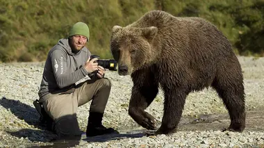 Un été chez les grizzlis