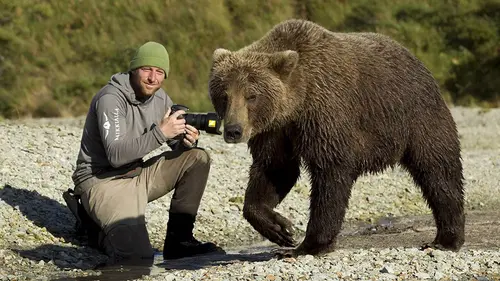 Un été chez les grizzlis