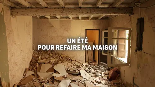 Casting Un été pour refaire ma maison