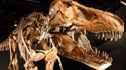 Un film, une histoire E06 «Jurassic Park»