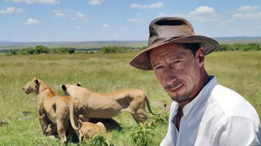 Un homme, des lions Les rois lions