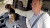 2016 • Un homme, un chien, un pick-up - Sur les traces de l'Amérique