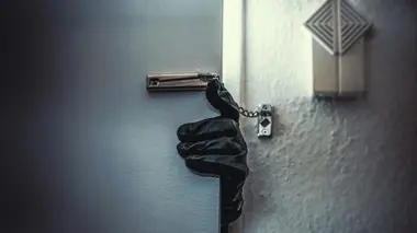 Un intrus dans ma maison Le chat et la souris