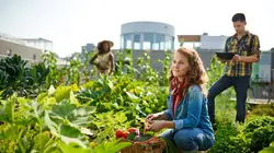 Un jardin dans la cité