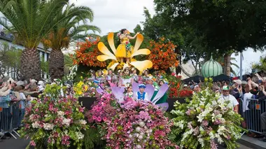 Cinque Terre / Chypre / Madère