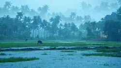Un jour ailleurs  S01E49 Océan Indien / Kerala / Iles Mergui