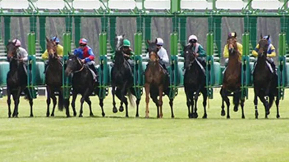 Un jour aux courses Réunion de Chateaubriant
