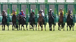Visuel de Un jour aux courses