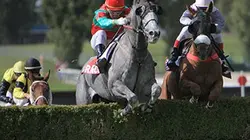 Visuel de Un jour aux courses