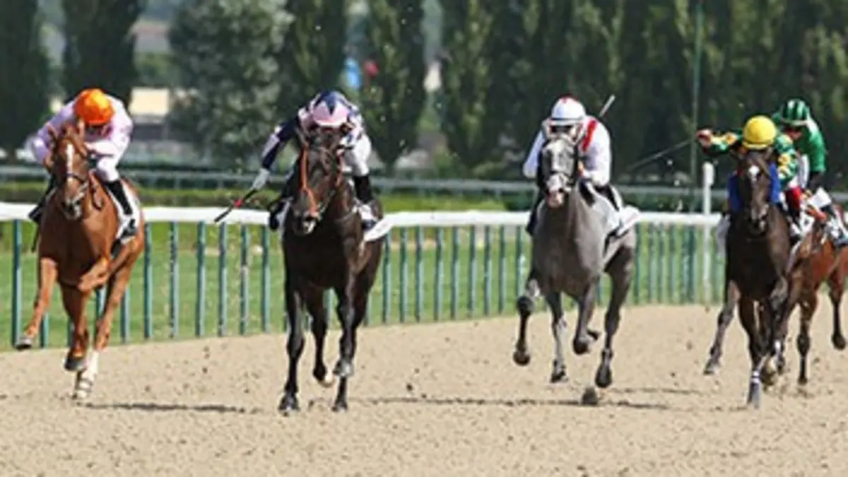 Un jour aux courses Les courses de Vincennes, Fontainebleau, Vaal (Afrique du Sud), Meydan (Dubaï) et Reims