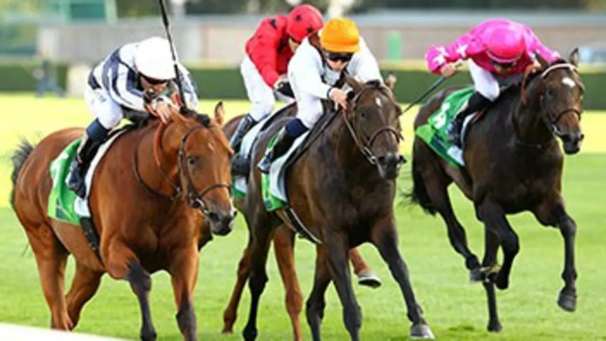 Un jour aux courses Réunion de Saint-Cloud