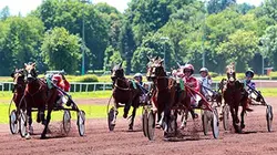 Visuel de Un jour aux courses
