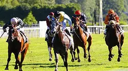 Visuel de Un jour aux courses