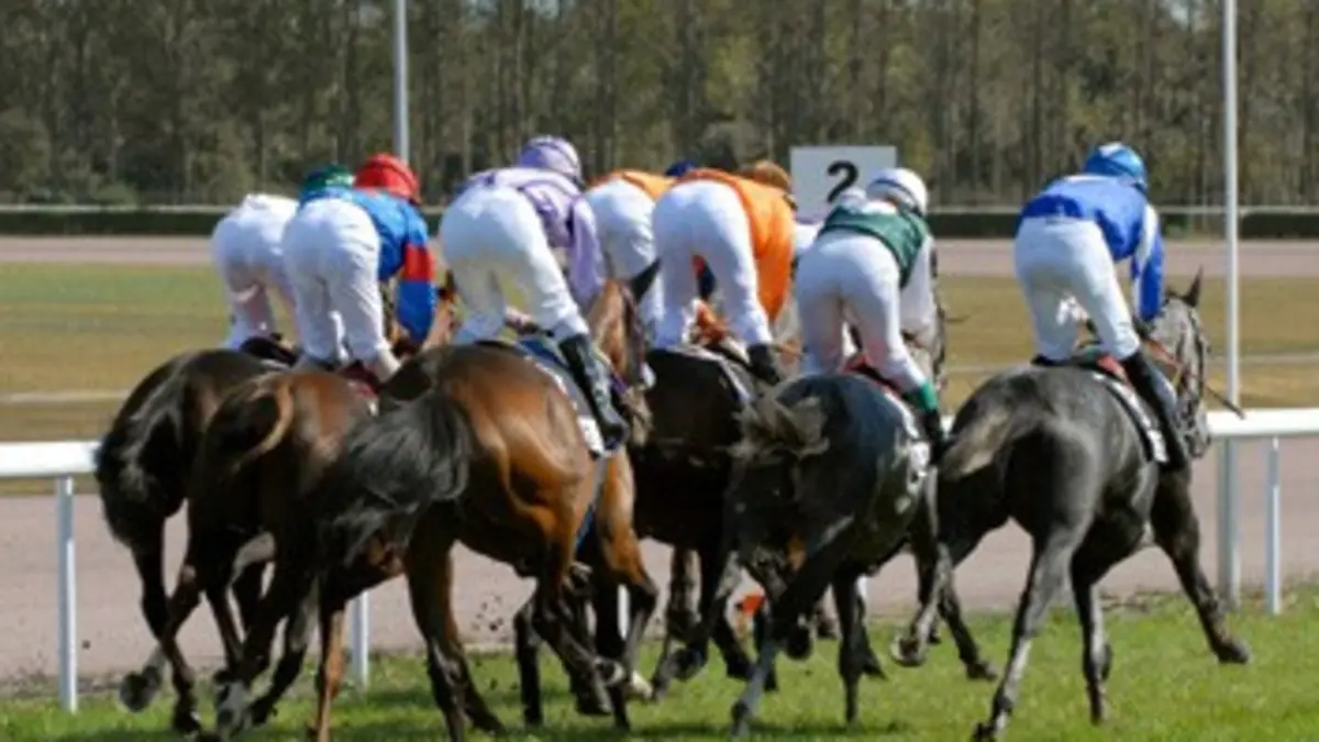 Un jour aux courses Réunion de Compiègne