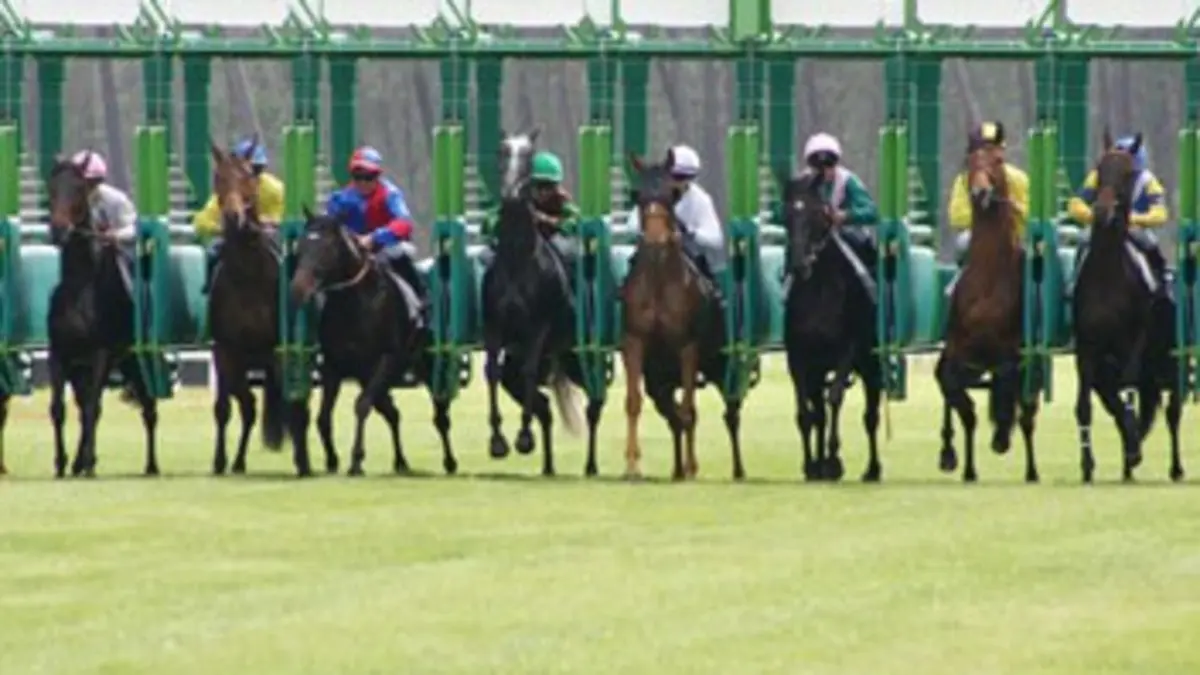 Un jour aux courses