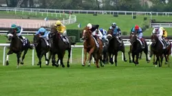 Visuel de Un jour aux courses