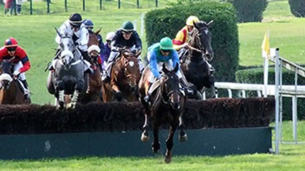 Un jour aux courses Réunion d'Enghien