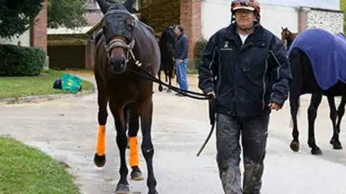 Un jour avec... Gilles Curens
