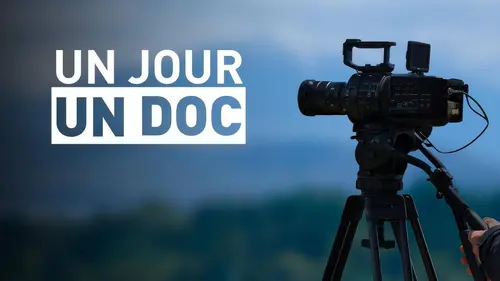 Un jour, un doc Johnny par Læticia (1/2)