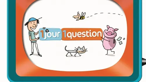 Un jour, une question C'est qui Saint-Exupéry ?