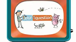 Visuel de Un jour, une question
