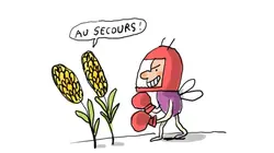 Un jour, une question  C'est quoi le métier de libraire ?