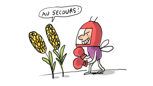 Un jour, une question