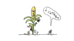 Un jour, une question